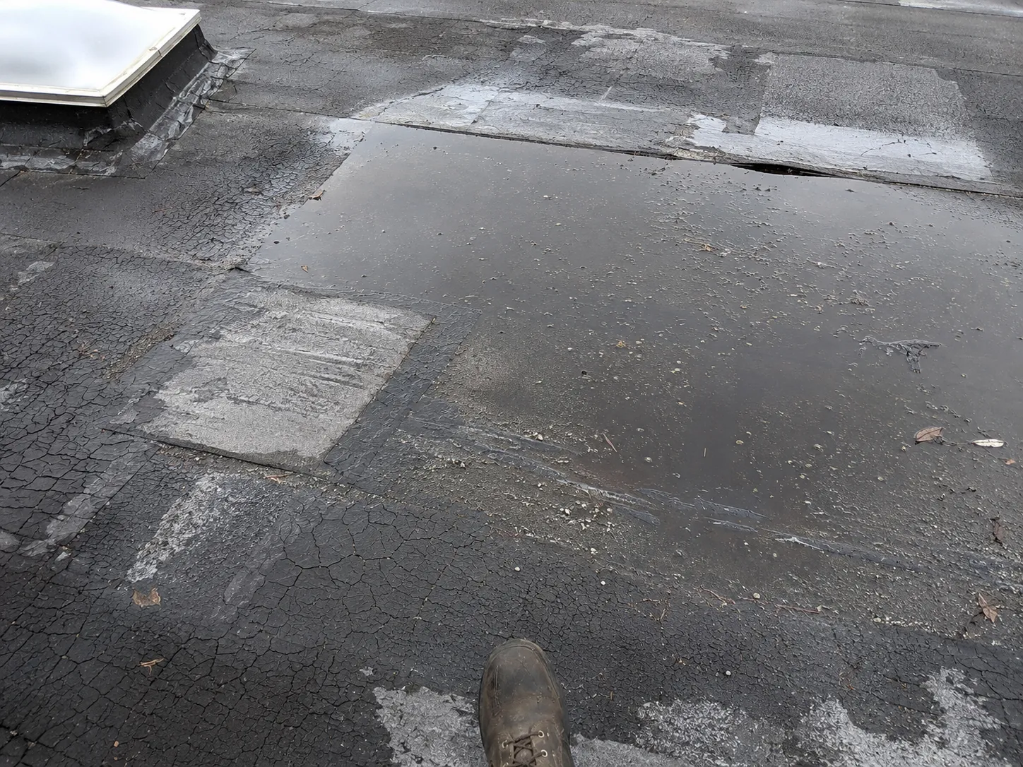 Ponding water and membrane damage on a failing flat roof — Surrey, BC
