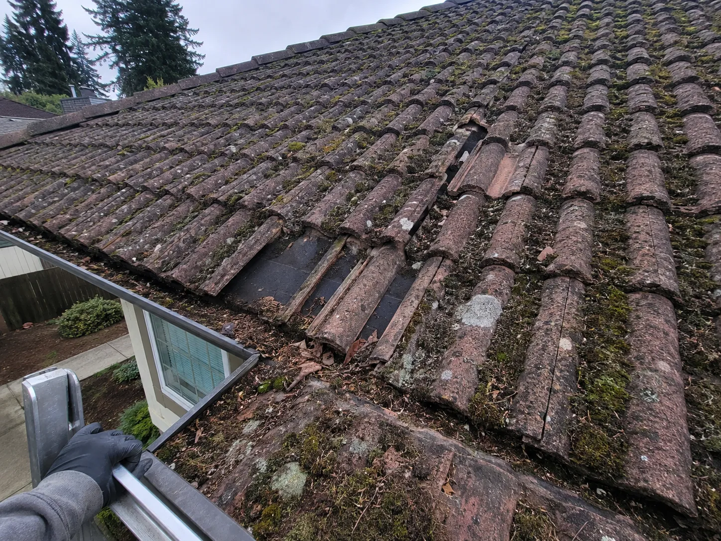 Roof inspection of a worn clay tile roof with moss damage — Surrey, BC